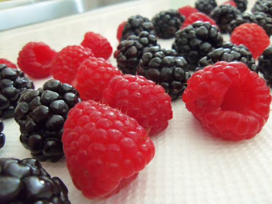 lemon berry tart strain review lemon berry tart strain review