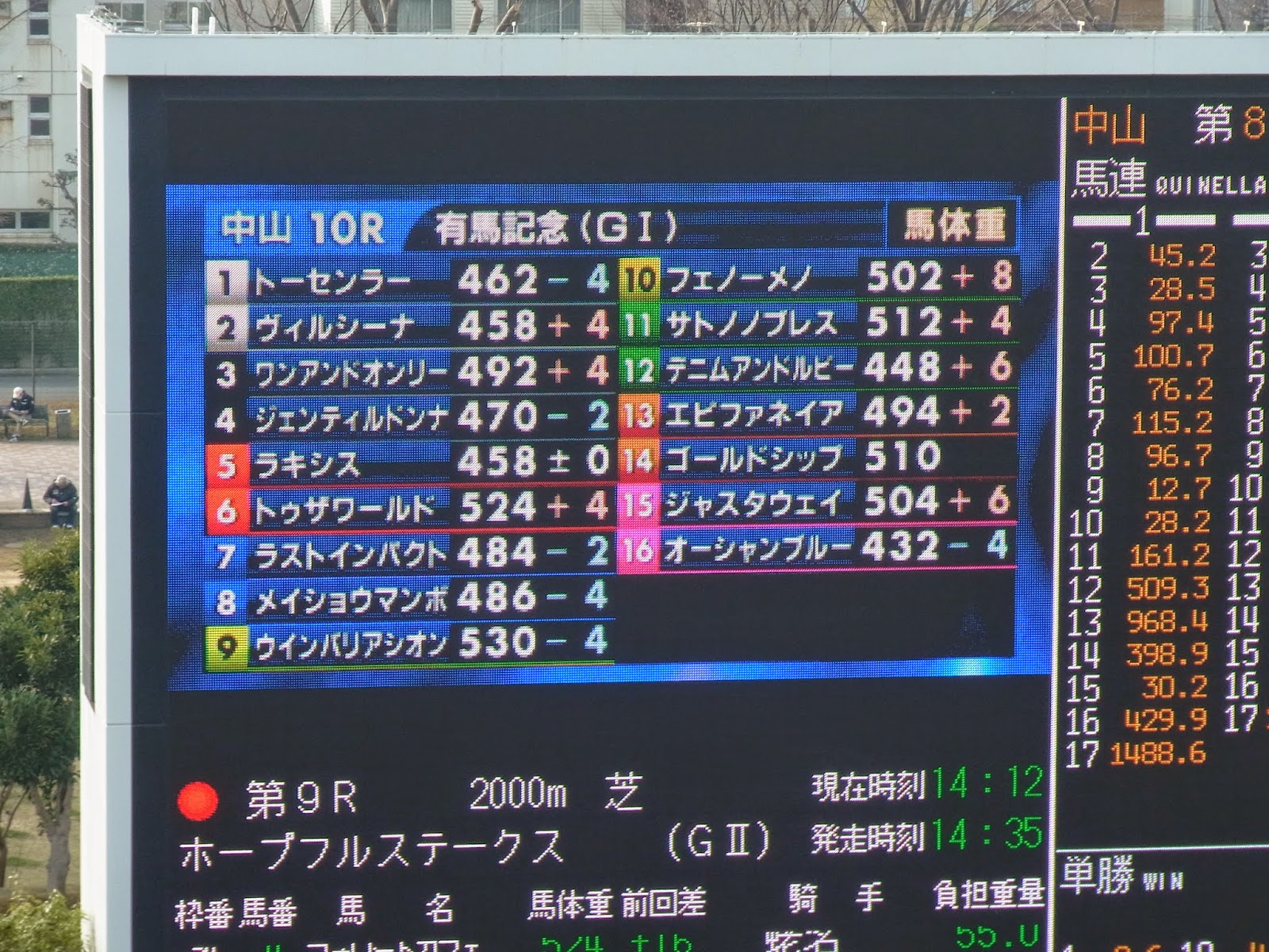 Splendor In The Grass 14年 有馬記念観戦記 その5