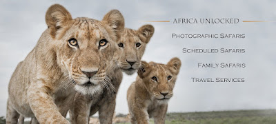 Africa Unlocked - Private Guided Safaris