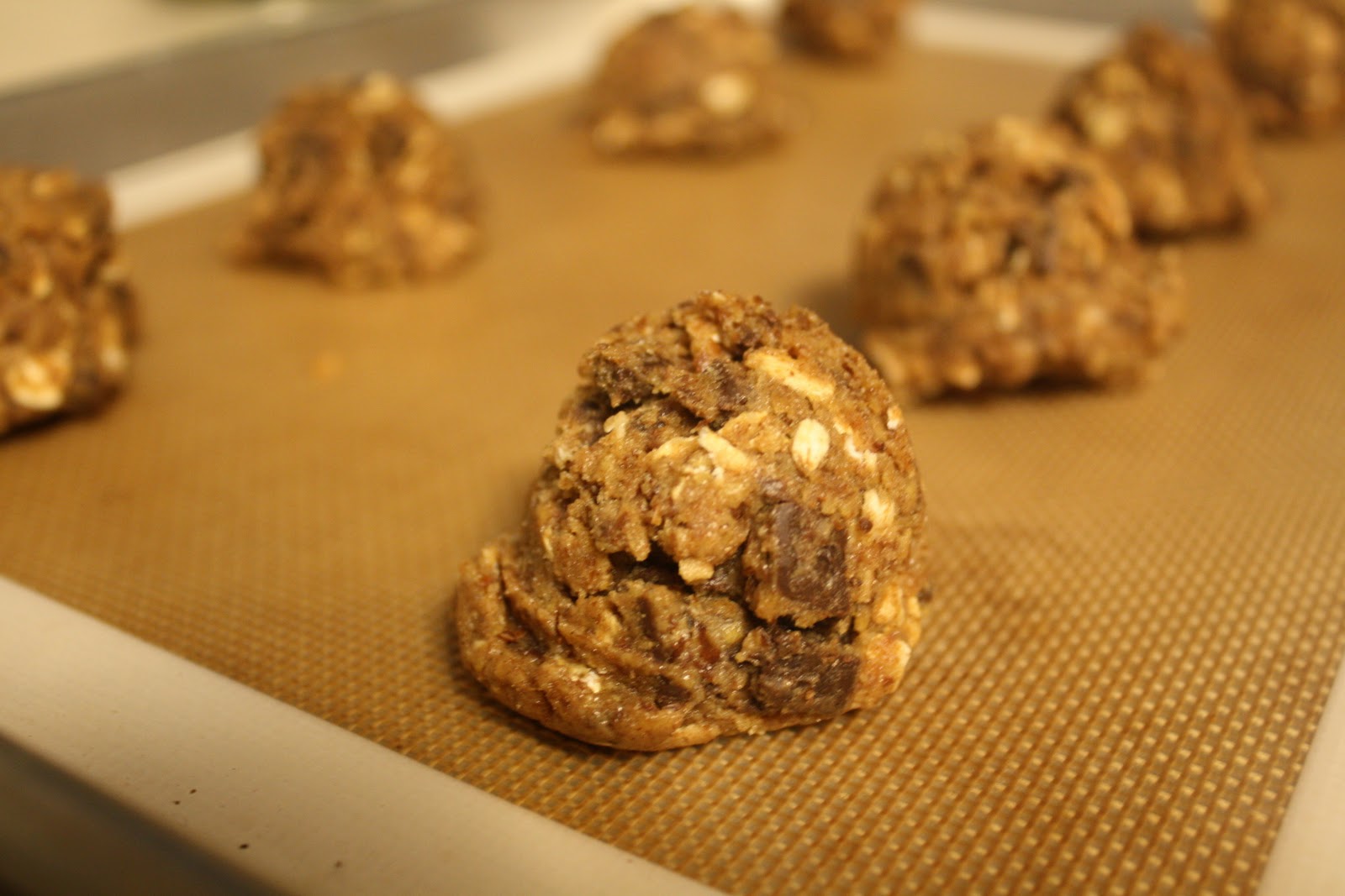Domestic Baker.... Wheat Germ Chocolate Chip Cookies