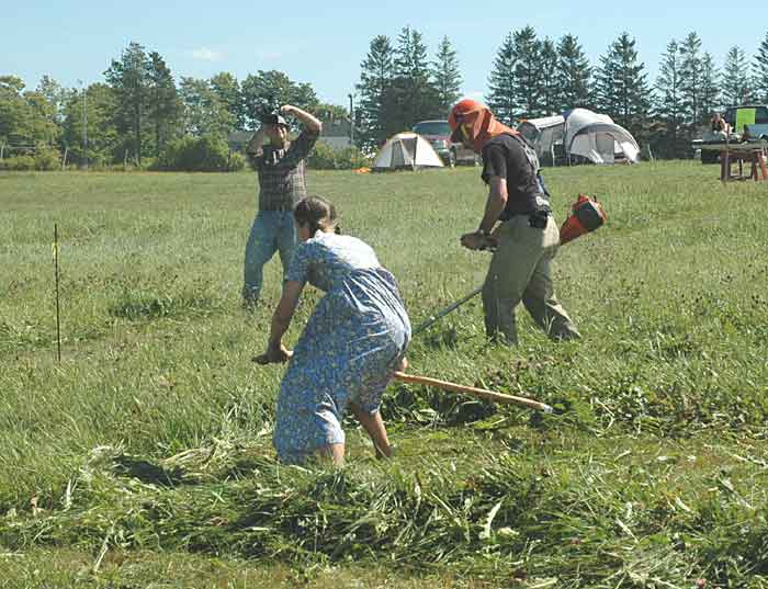 The Open Adventurer Grain Cradle
