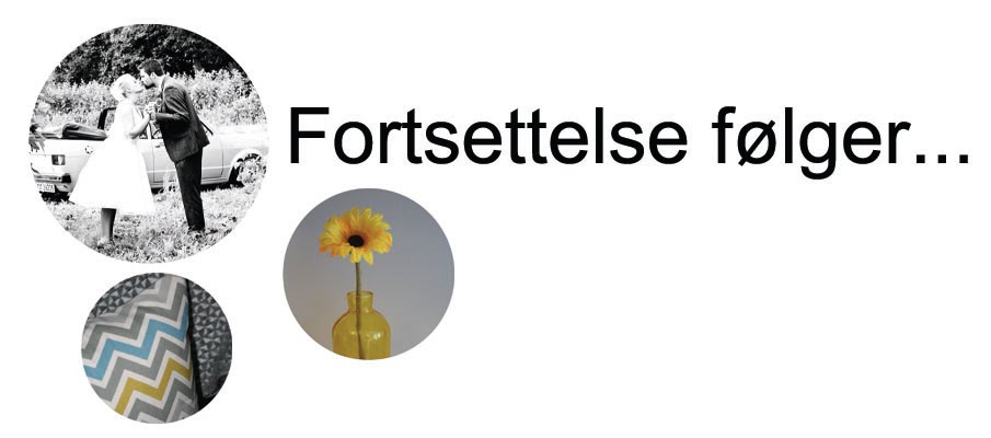 Fortsettelse følger...