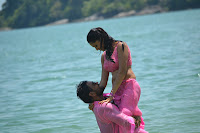 Sunaina, Hot, In, Pink