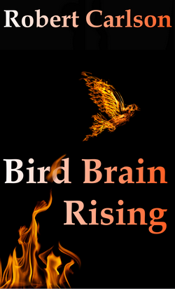Bird Brain Rising