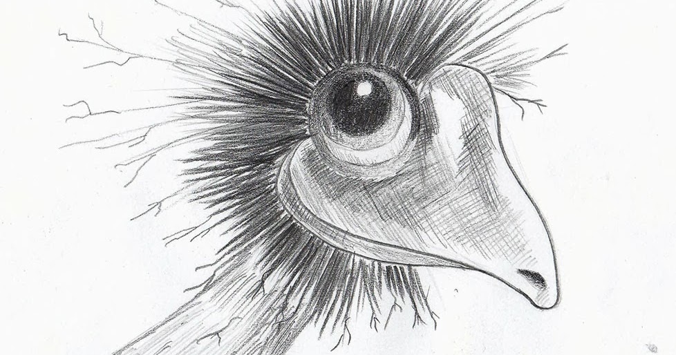 Weekly Doodles and tuts Drawspace lesson N04 How to draw a head of