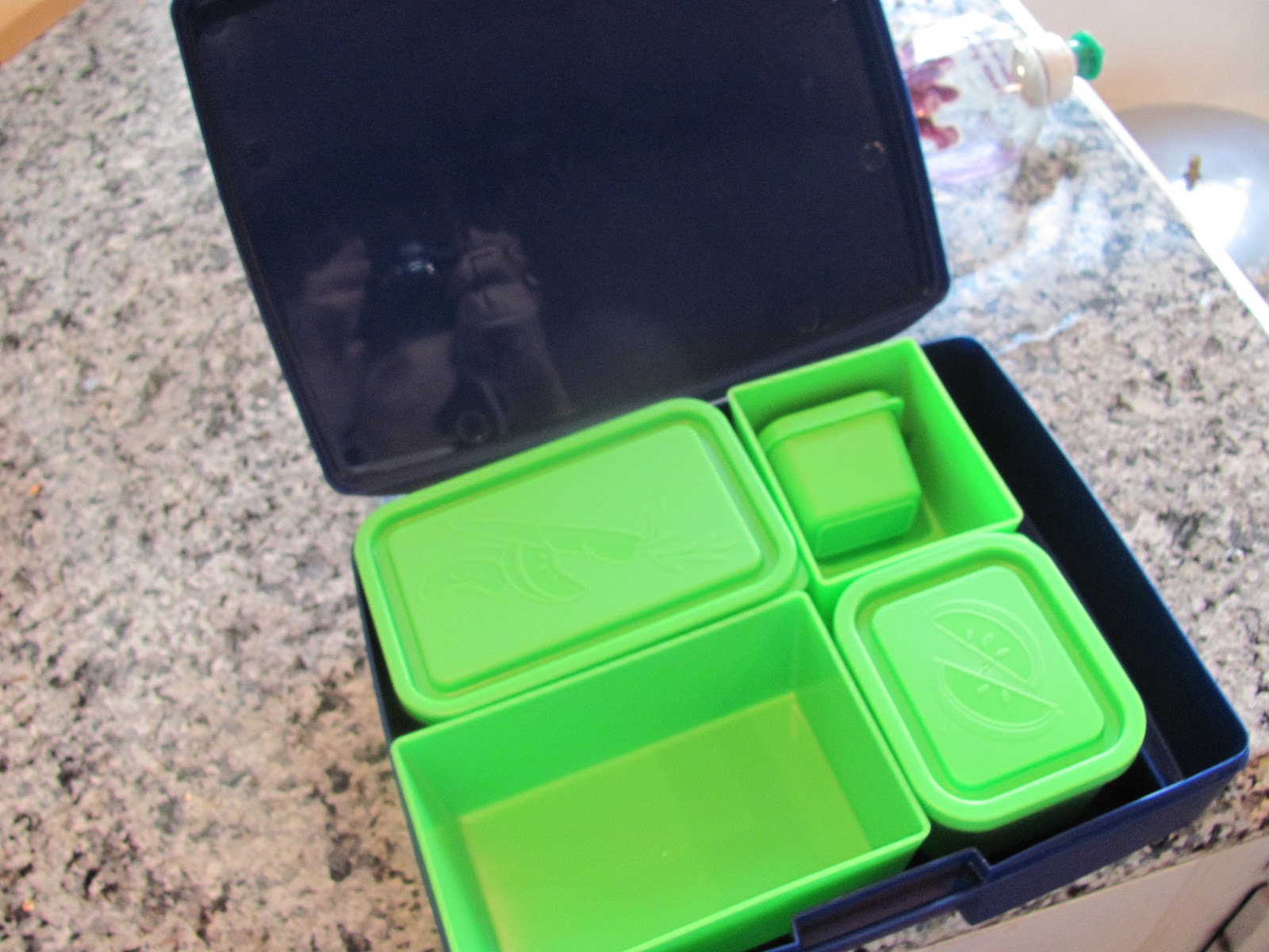 Soba Noodle Bento Lunch