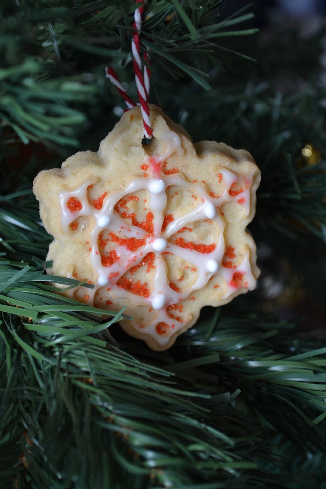 Biscotti Di Natale Per Decorare Lalbero.Cucina Di Barbara Food Blog Blog Di Cucina Ricette Ricetta Ferratelle Per Decorare L Albero Di Natale