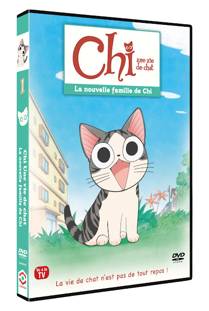 CHI UNE VIE DE CHAT