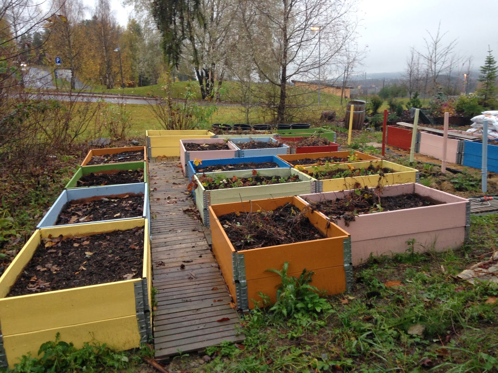 Hageflekken Oktober 2013