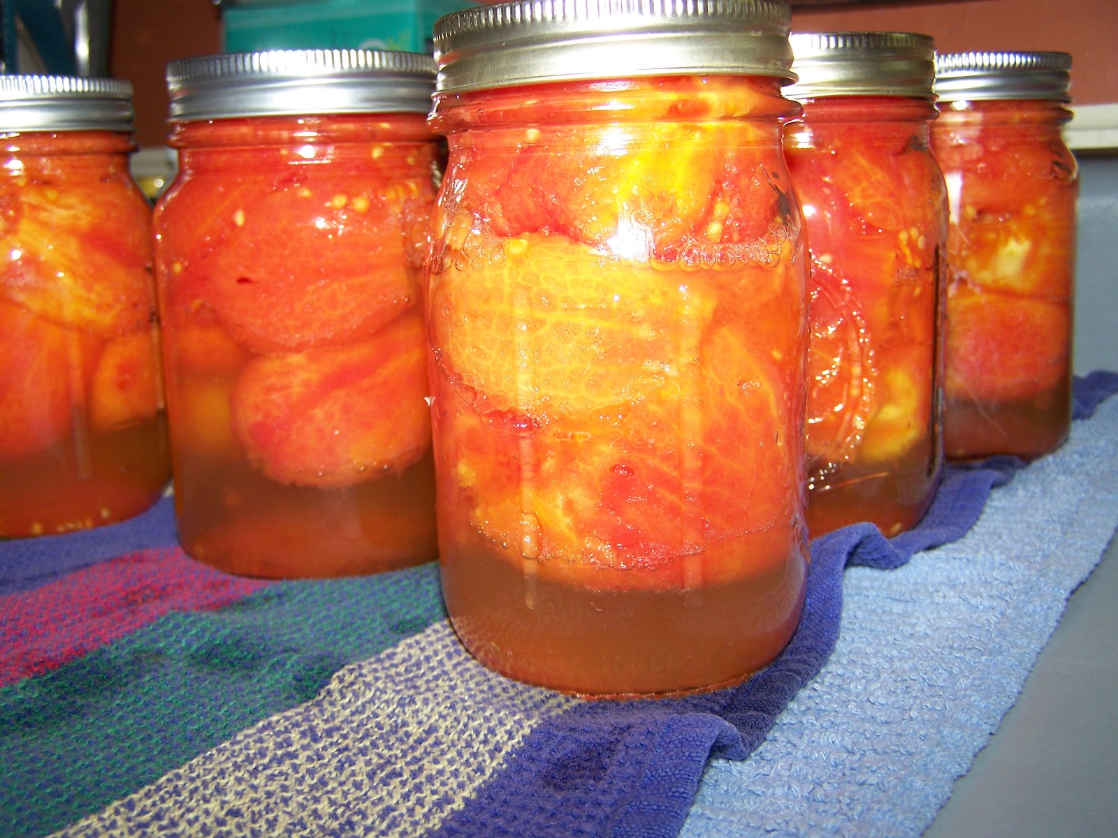 Man That Stuff Is Good! Canning Roma Tomatoes