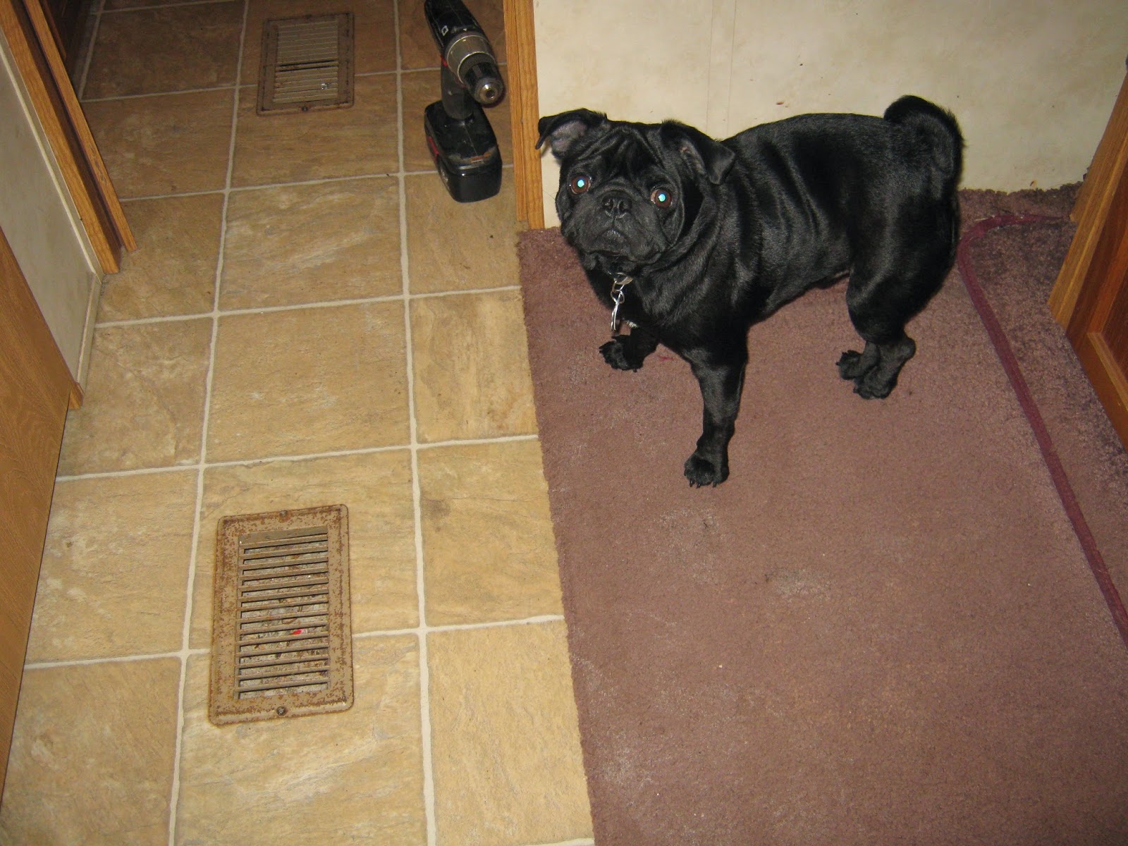 Puma travel trailer water damage RV repair renovate flooring soft spot http://makingmemoriesrv.blogspot.com/