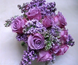 http://1.bp.blogspot.com/-c10ZmsRqoY0/T1YSfH6dKcI/AAAAAAAABLk/Q6BjFe1xrI0/s320/Bouquet+di+rose+viola.jpg