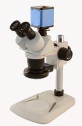 Stereo Microscope 10x 30x with HD camera