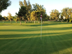 7's Green Before Mowing (7-25-13)