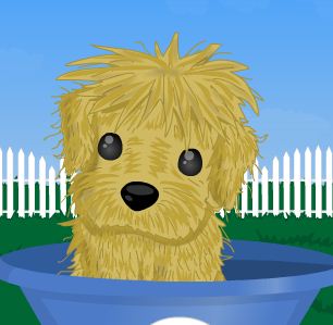 Juegos de Frin: Juegos de bañar perros