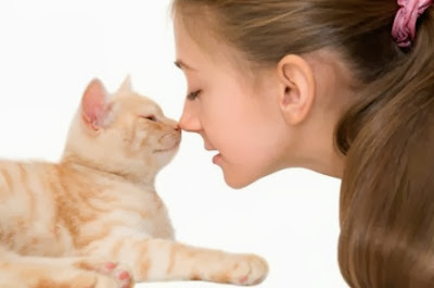 Charming Quotes About Cats Charming Quotes About Cats