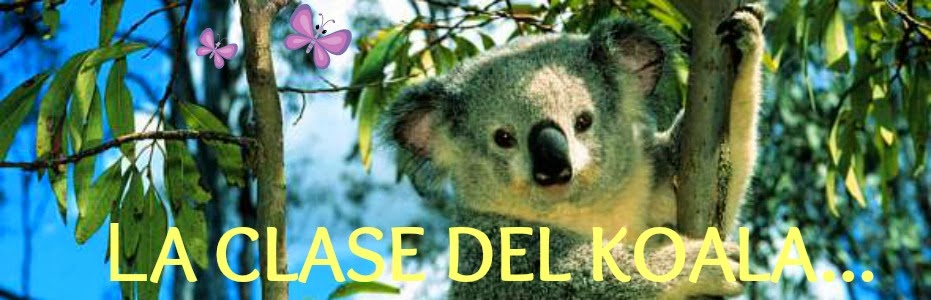 LA CLASEDEL KOALA...