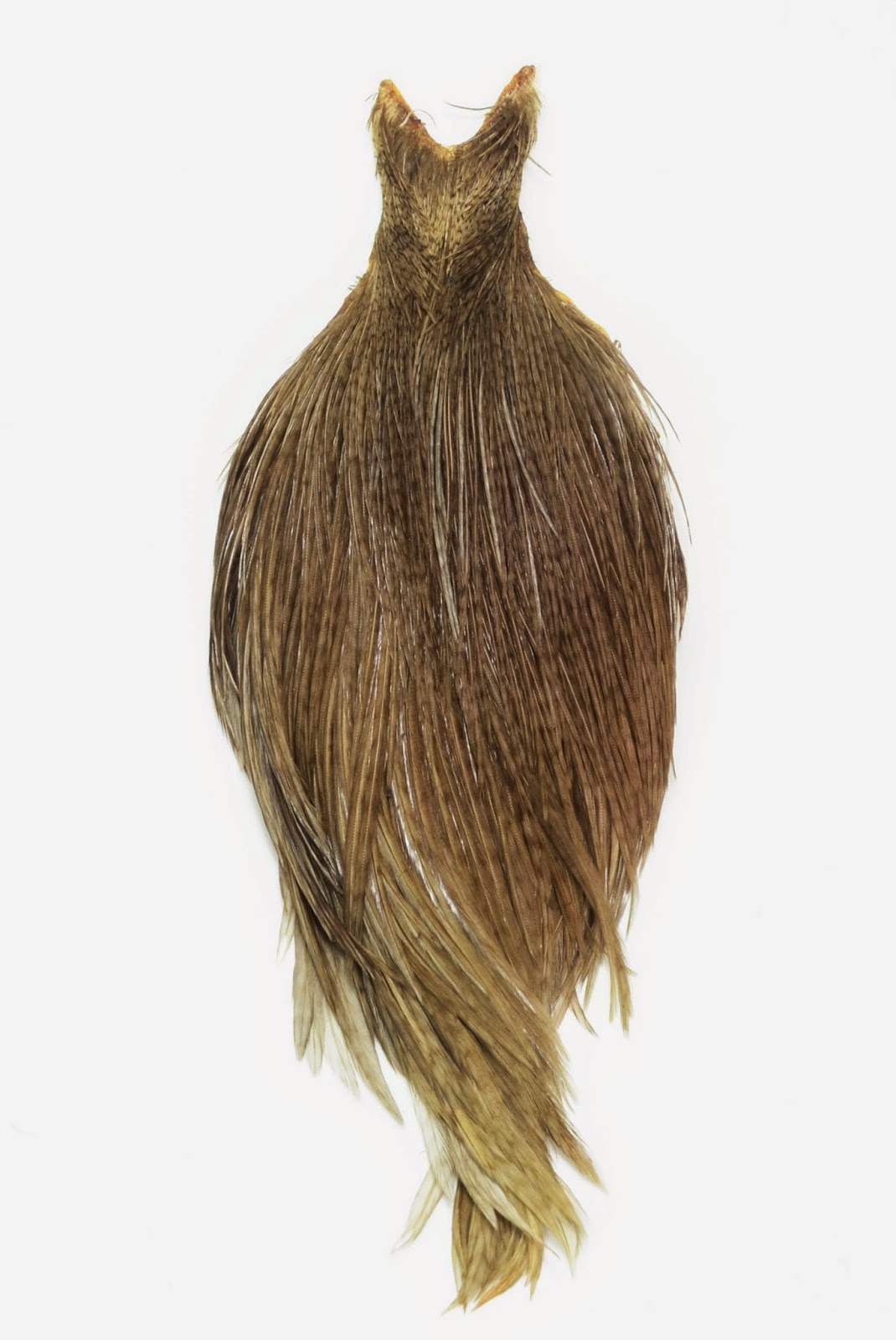 The Ultimate Hackle Throwdown Fly Fish Food Fly Tying and Fly Fishing