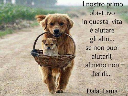 Frasi Su Aiutare Il Prossimo FRASI, AFORISMI E ALTRO: AIUTARE GLI ALTRI