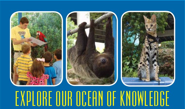 Explore the Ocean of Knowledge