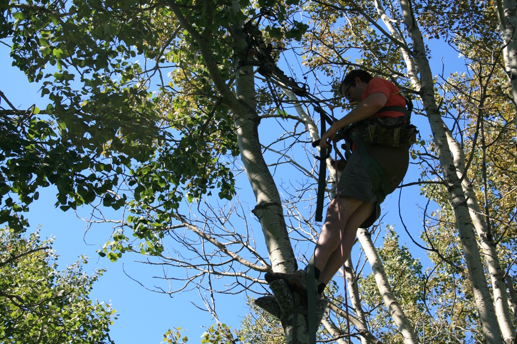 Orion Mind Tree Saddle a better tree stand?