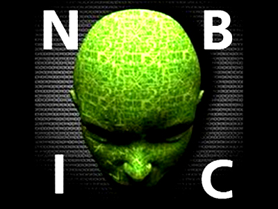 NBIC-Конвергенция без Самоорганизующейся Smart-MES это крайне несерьёзно N310