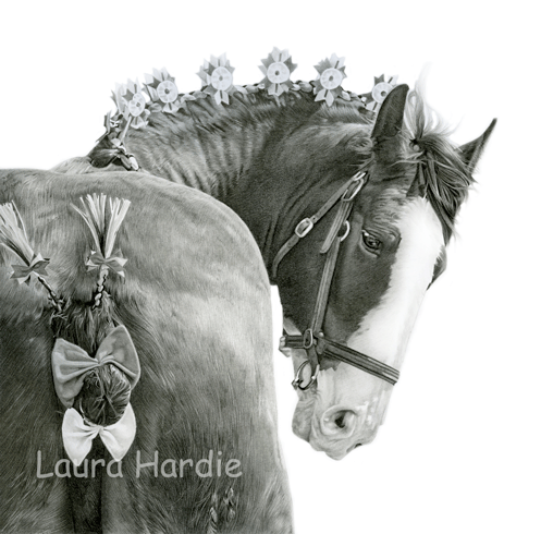 Graphite Pencil Drawings