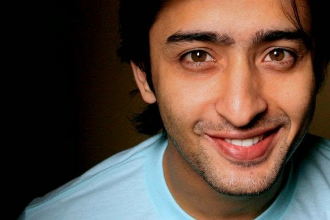 Shaheer Sheikh Mahabharata
