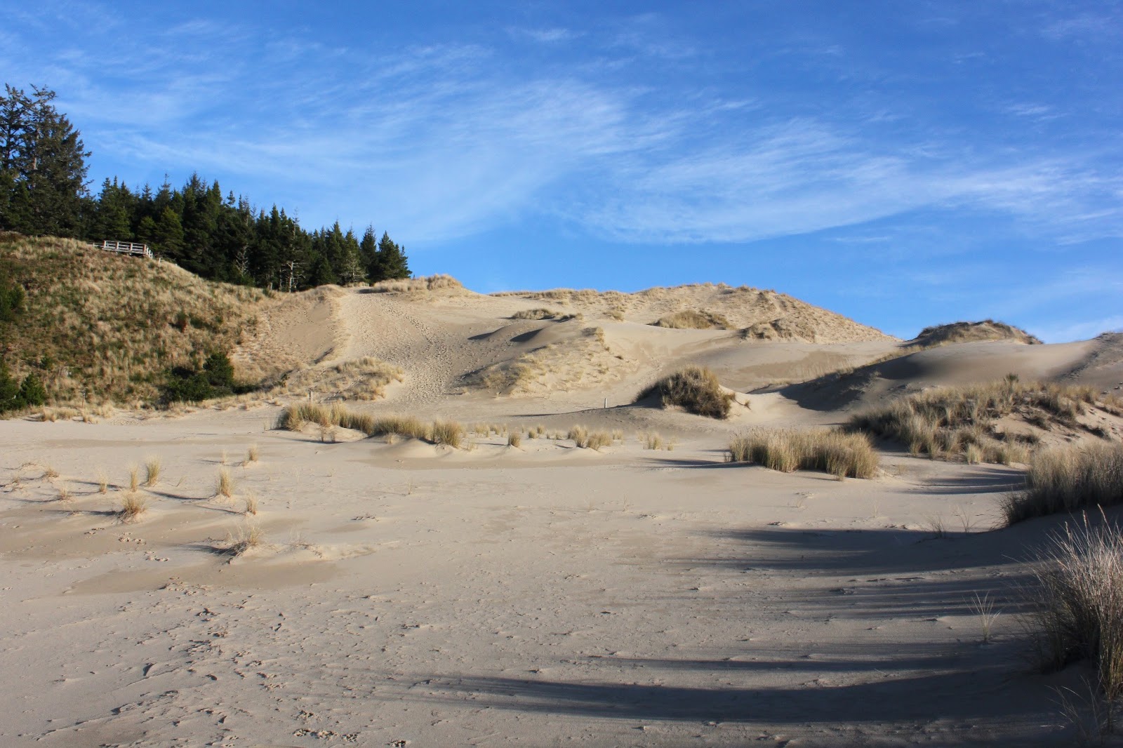Richard Hikes: Oregon Dunes