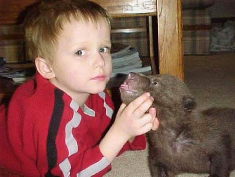 A Man Found Two Bear Cubs About to Die. Words Can’t Describe What Followed. A Man Found Two Bear Cubs About to Die. Words Can’t Describe What Followed.