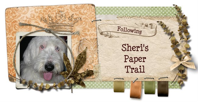 Sheri's Paper Trail