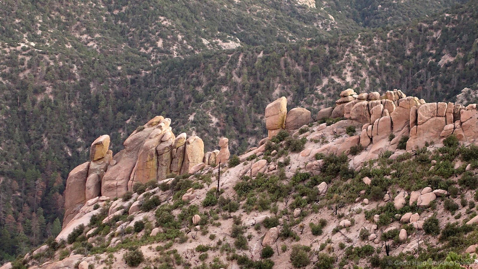 Photos from Catalina Highway, Arizona