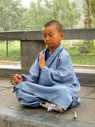 Clases de Kung fu Para Niños y Niñas ( Nuevas Clases) ShiFu Paty Lee