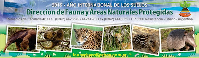 DIRECCION DE FAUNA Y AREAS NATURALES PROTEGIDAS - CHACO