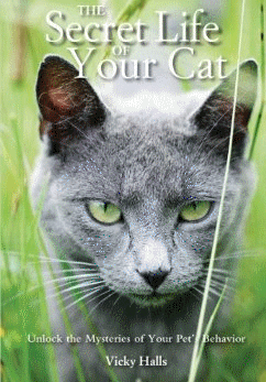 cat age calculator
