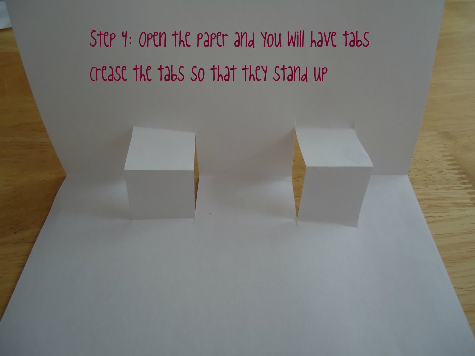 Bug and Monkey Mama: Make Your Own Pop-up Book
