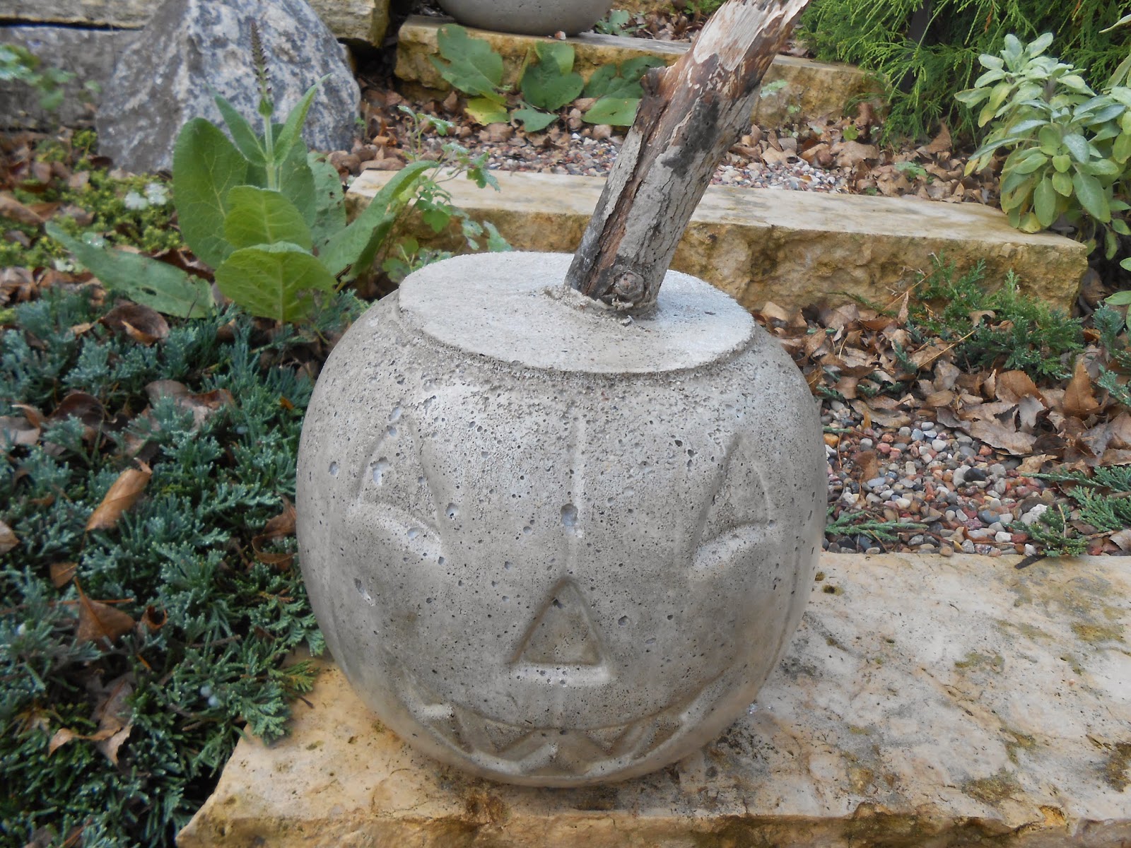 Sproutsandstuff Easy and Cheap DIY Concrete Pumpkin Planter