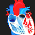 Heart - Human Heart Wiki