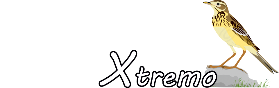 Bicherío Xtremo