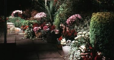 Landscape Outdoor Lightings: Creative Garden Lighting Design from