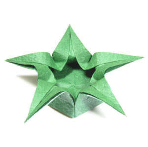 rare paper star origami ~ easy instructions to origami