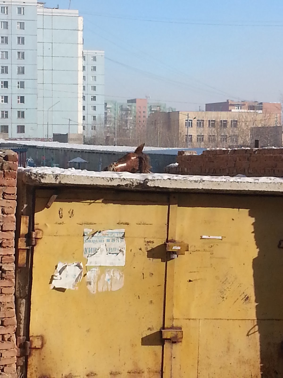 Mongolei Mal Anders 2014