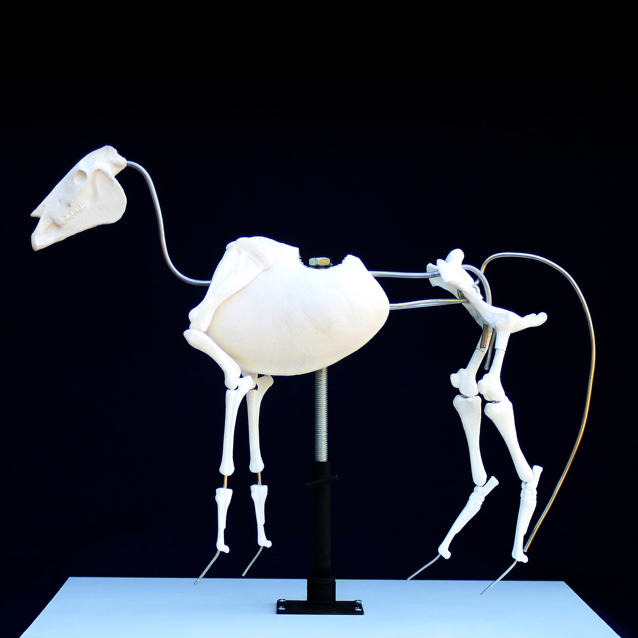 Clay To Bronze TruForm Armatures Recieved the 18 inch male armature