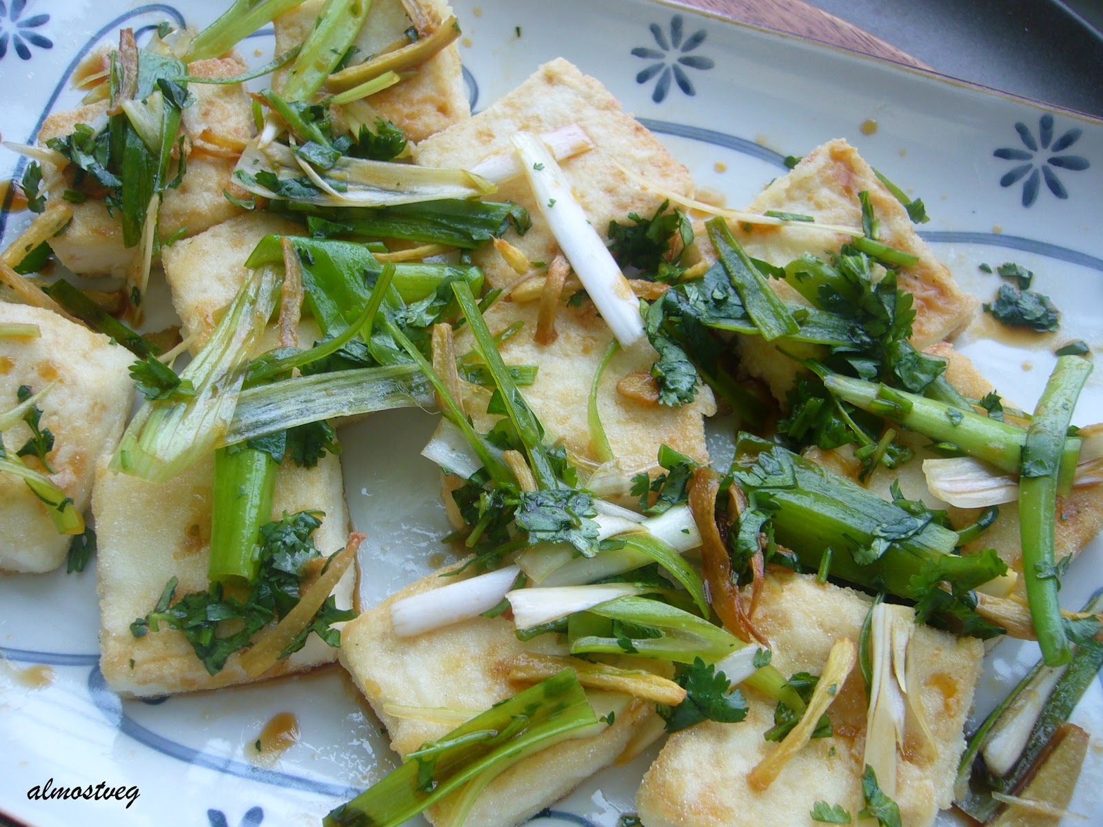 fried tofu fried tofu