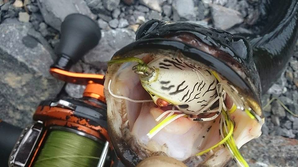 CASTING IKAN HARUAN SNAKEHEAD I LOVE PUSA