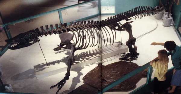 Megalania+composite+sm.jpg