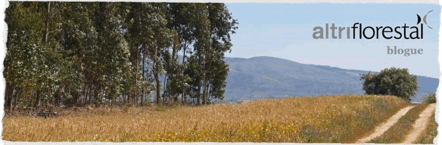 Blogue da Altri Florestal