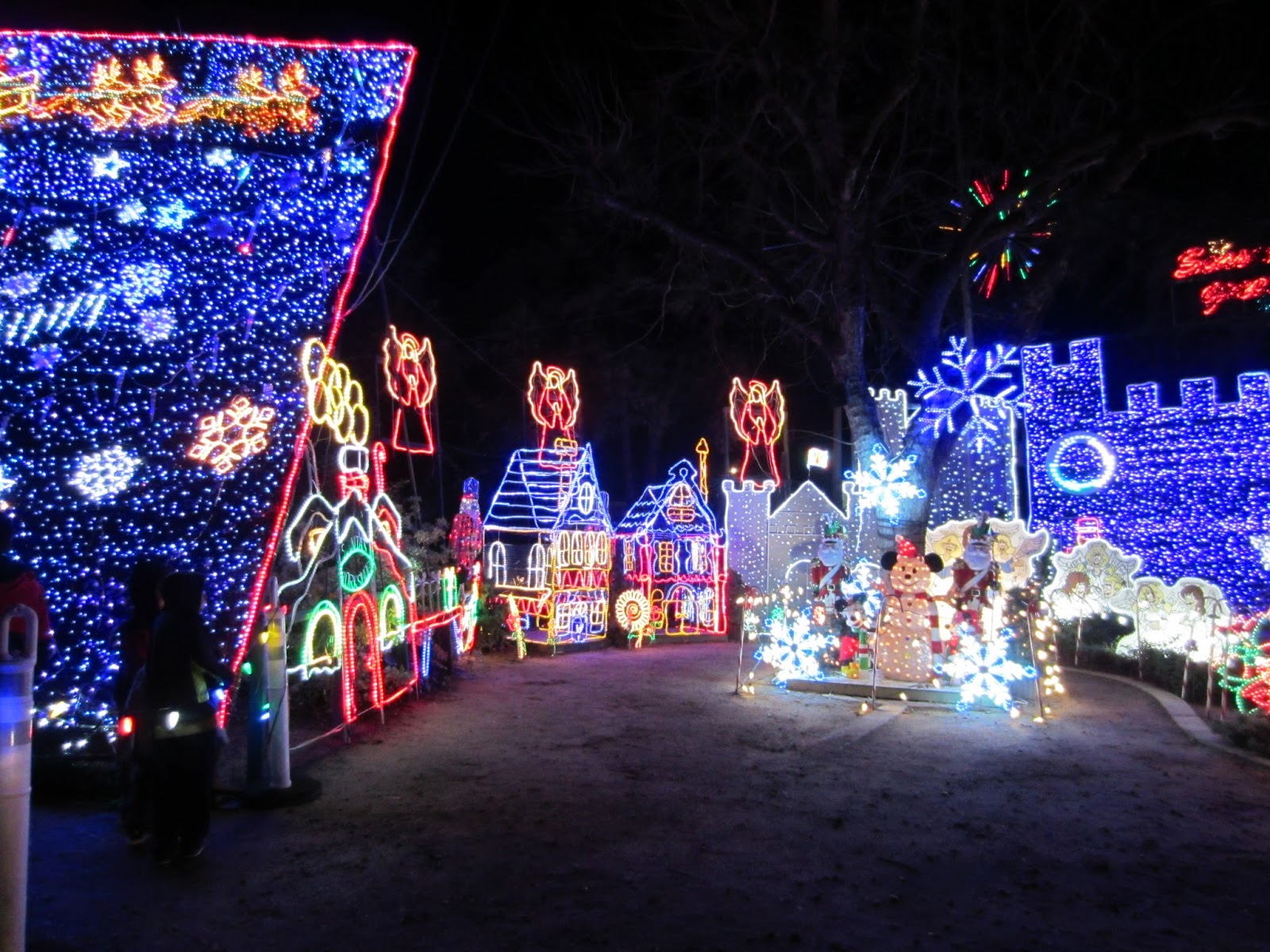 Jana's Place Our Walk Along Christmas Tree Lane