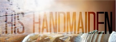 hishandmaiden test blog