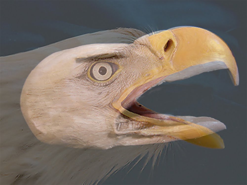 Realistic Bald Eagle lifesize & life like replica sculpture Bald